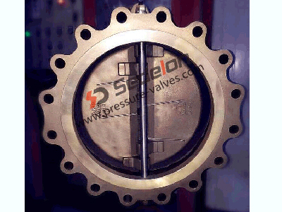 Bronze Lug Type Double Disc Swing Check Valve