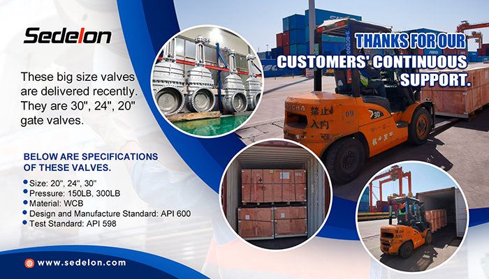 Sedelon® Big Size Gate Valve