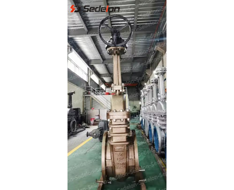 Sedelon Bronze Gate Valve