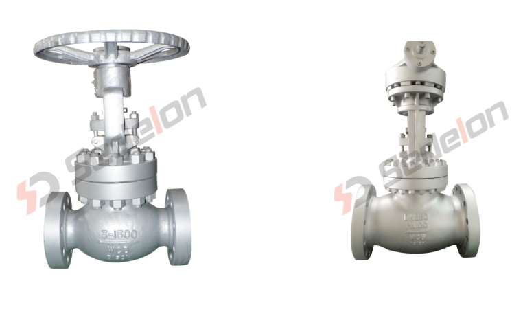Globe valve 