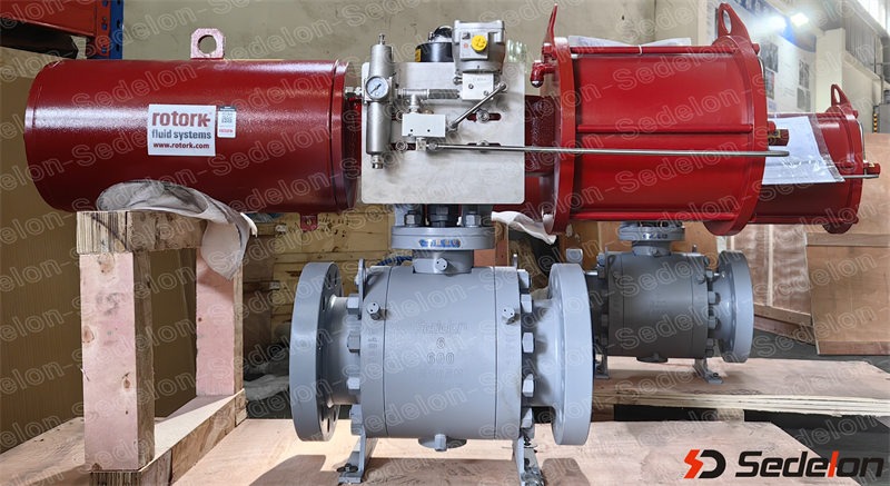 Sedelon Pneumatic Ball Valve