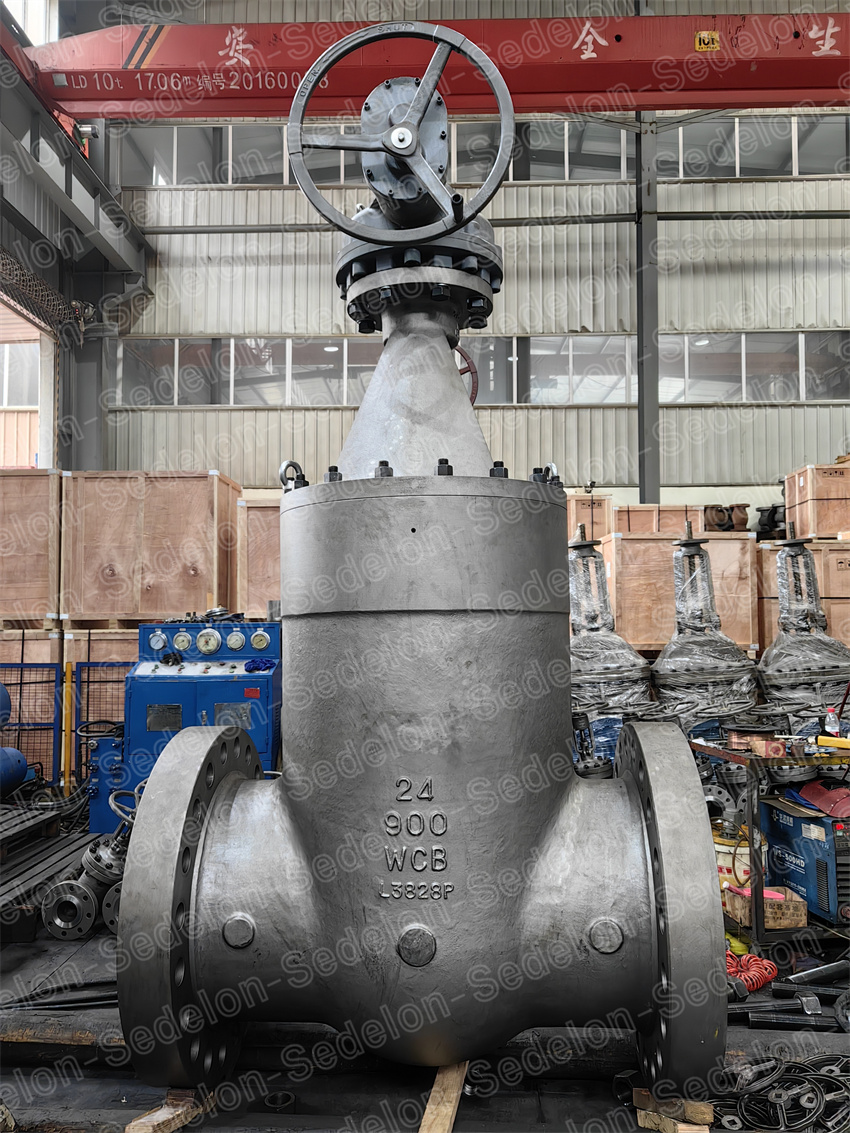 Sedelon double disc parallel slide gate valve