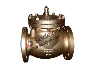 Bronze Swing check valve